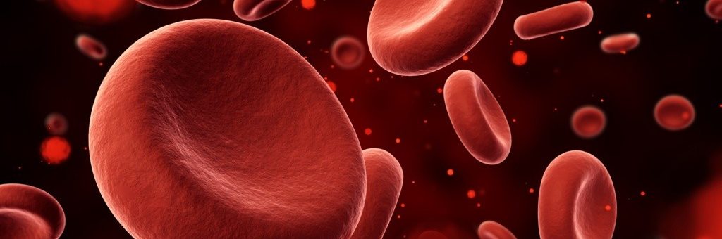 thalassemia